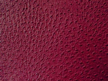 Strauß - Bordeauxviolett