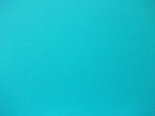B1 - Mint