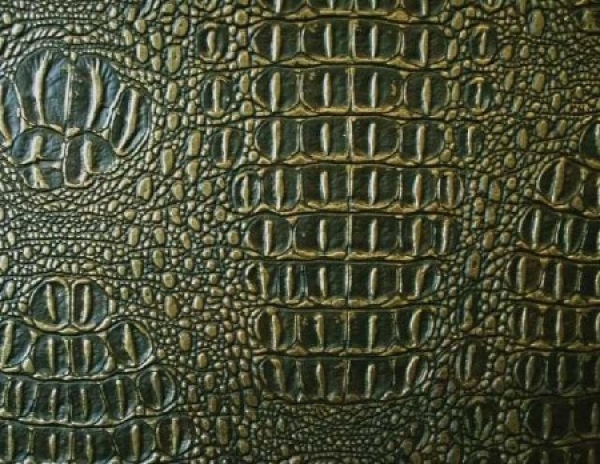 Krokodil - Dunkelbraun mit Überdruck Gold