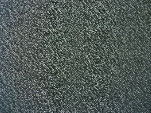 Rochen - Grau
