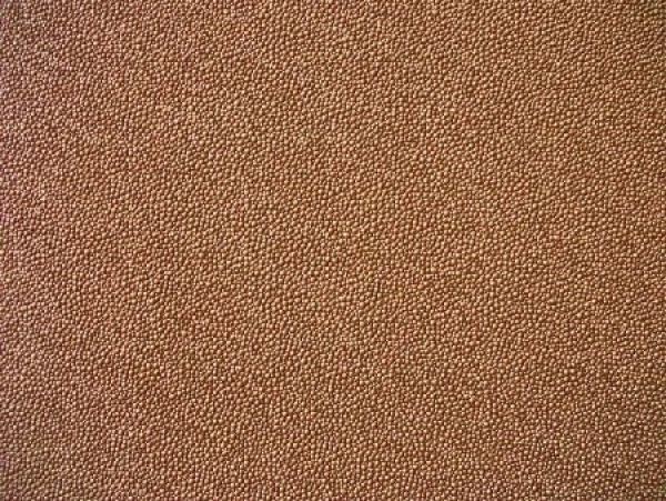 Rochen - Kupferbraun