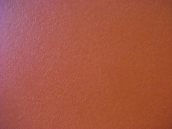 IMO 2010 / B1 - Orange