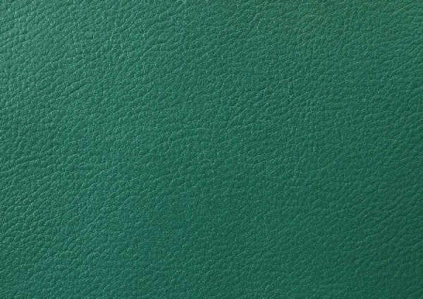 Medizinisches Kunstleder - Grün
