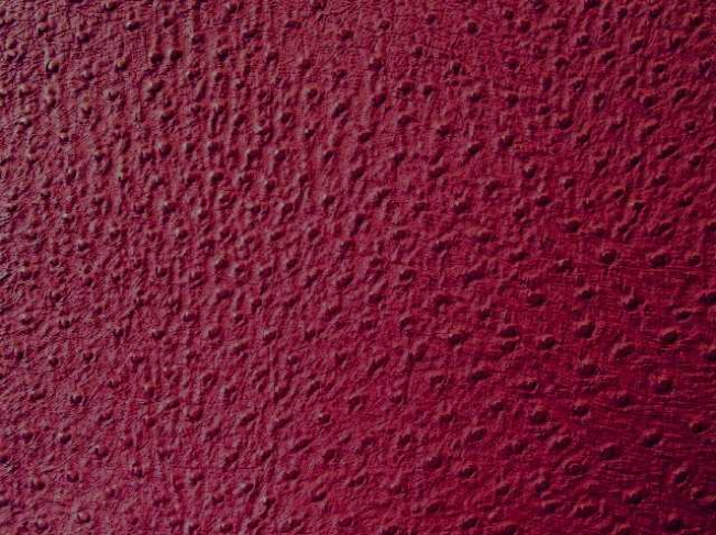 Strauß - Bordeauxviolett